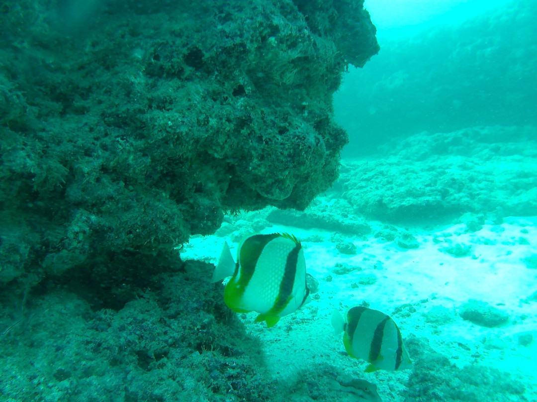 Scubacaribe Boa Vista-博阿维斯塔必去景点