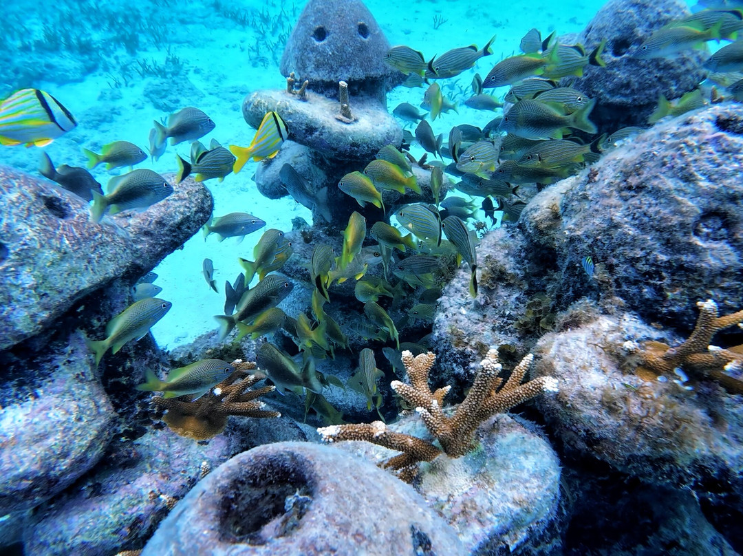 Catmania Catamarans-Costa Mujeres必去景点