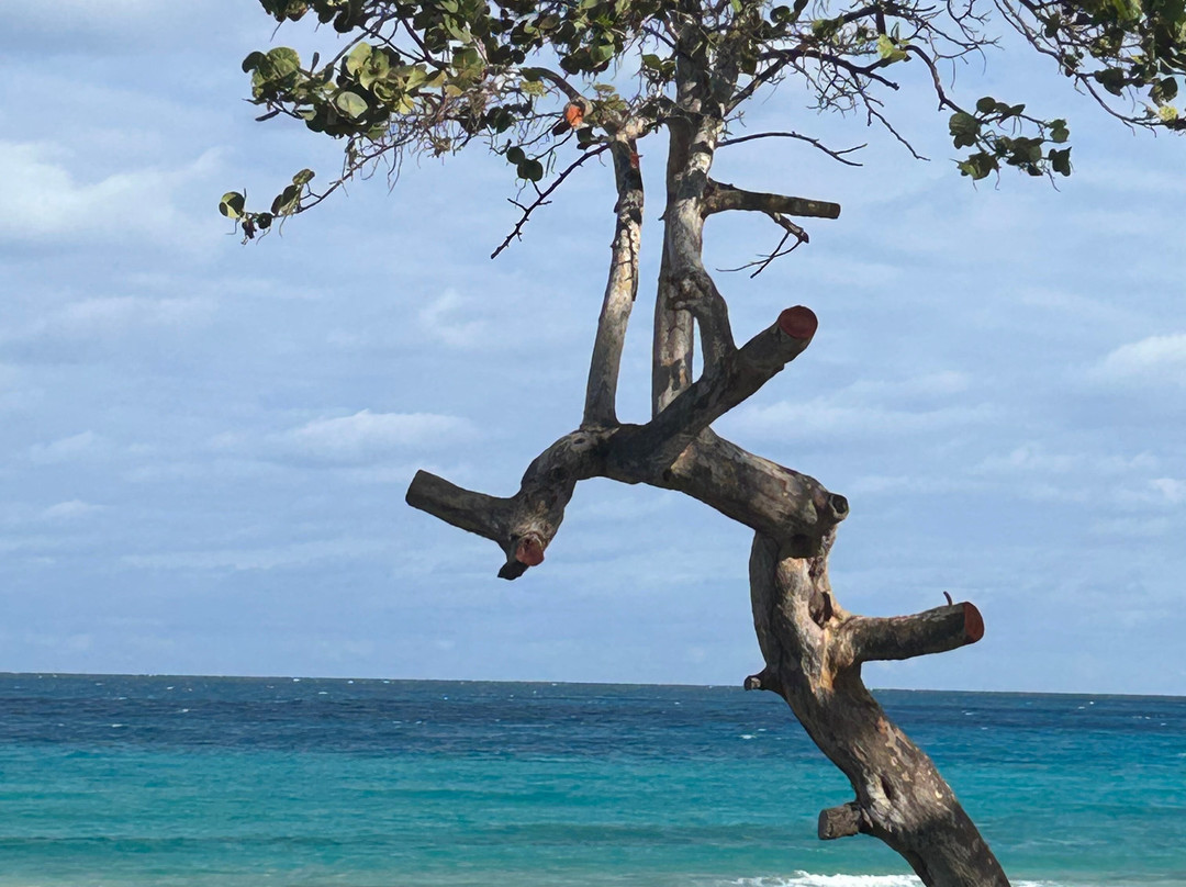 Mystique Casa Perla by Royalton主图