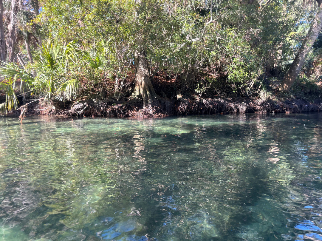 Weeki Wachee Kayaking-Weeki Wachee必去景点