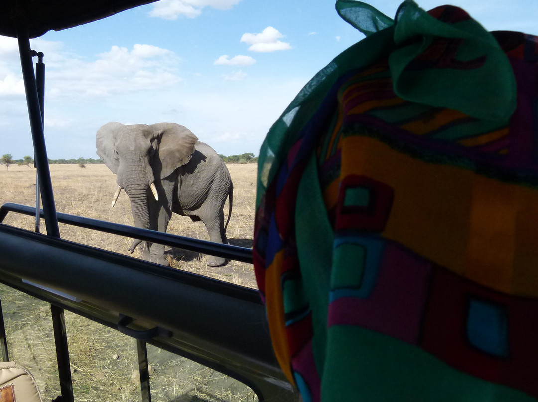 Caracal Tours & Safaris-莫西必去景点