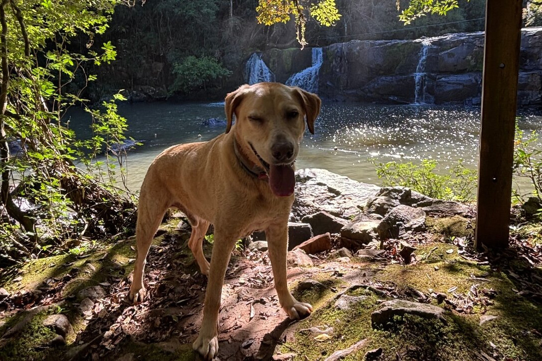 Sitio Cascata da Borussia-Osorio必去景点