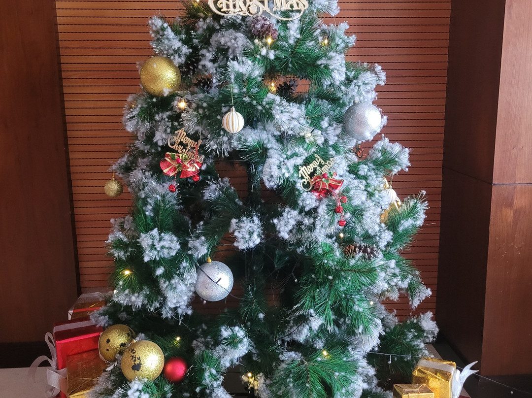 Mường Thanh Grand Cửa Lò主图