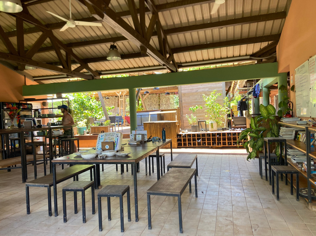 Happy Divers-M'Tsangamouji必去景点