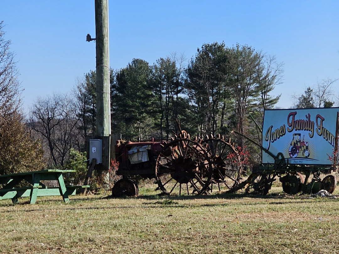 Jones Family Farm-Street必去景点