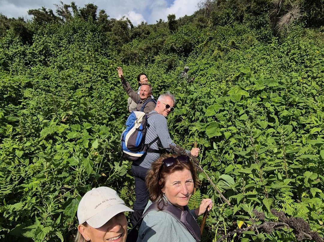 Katona Tours and Travel-吉佳利必去景点