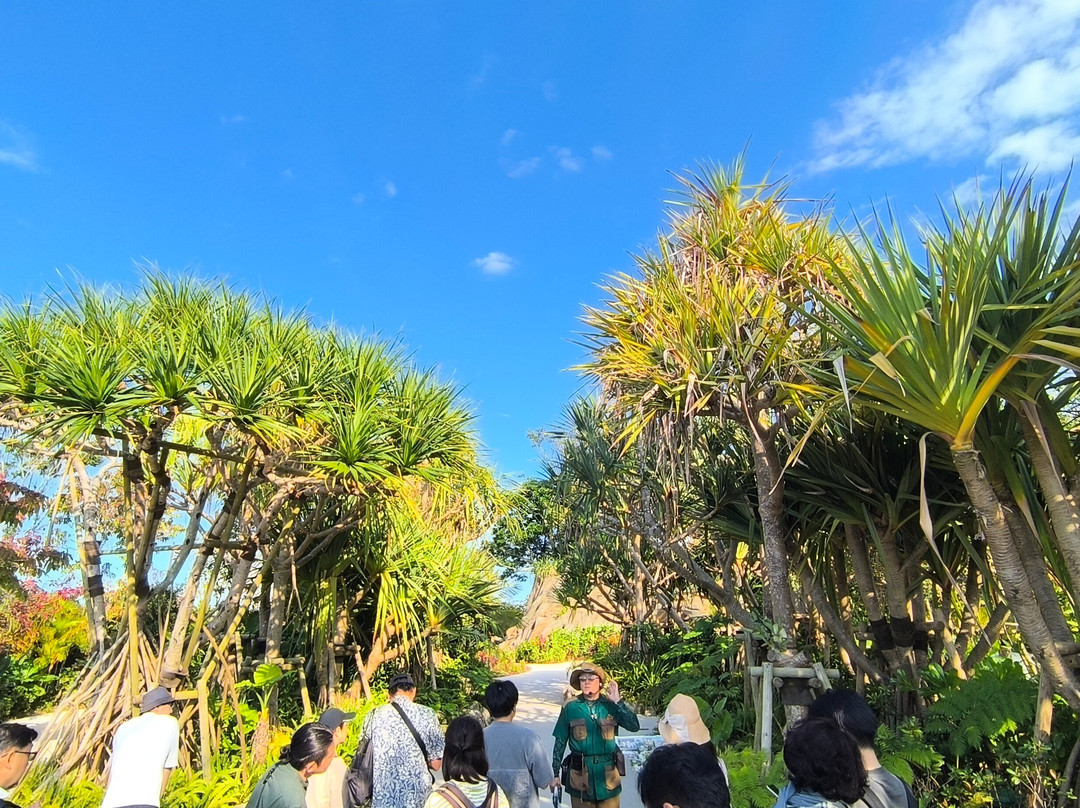 Junglia Okinawa-今归仁村必去景点