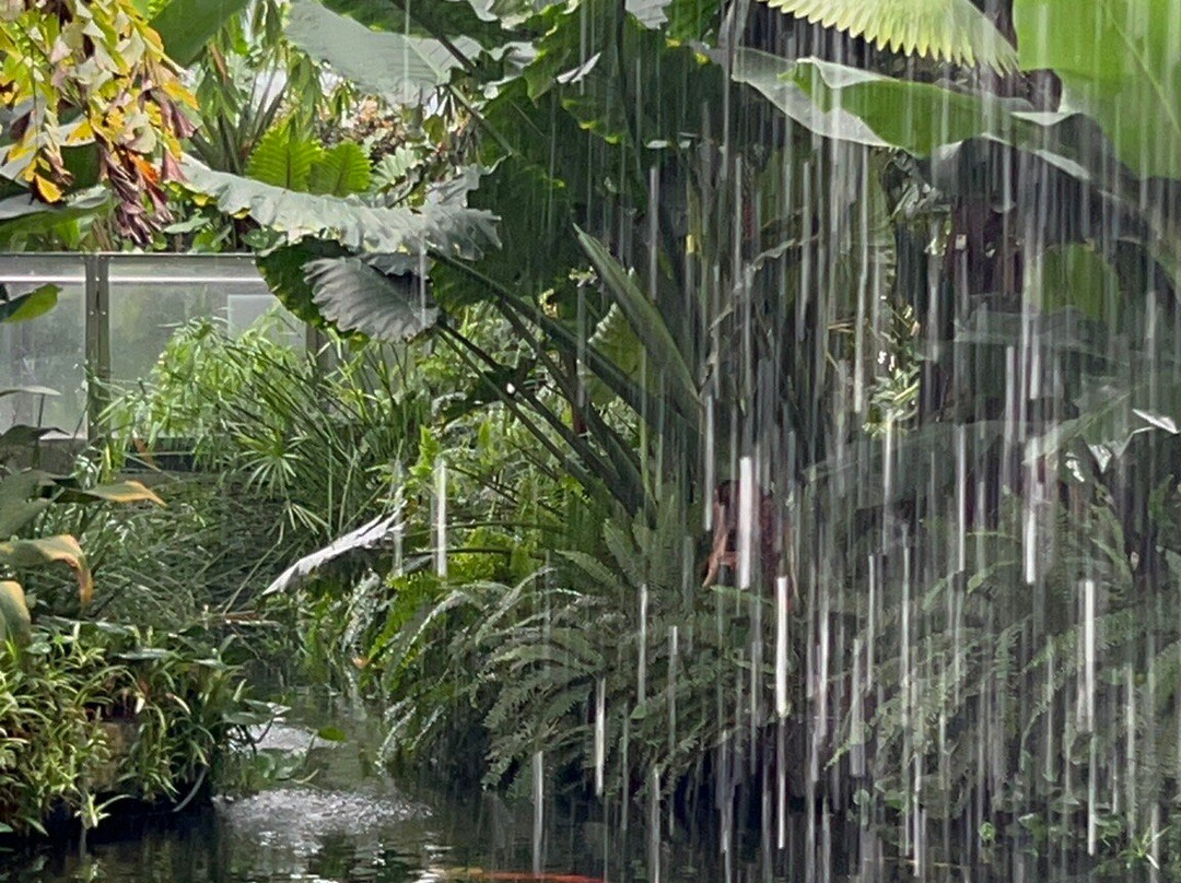 The Leaf-温尼伯必去景点