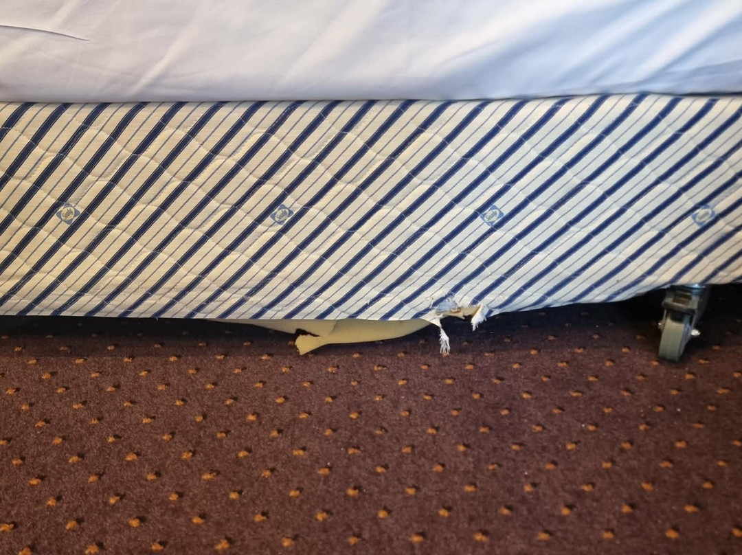 Renmark Country Club主图