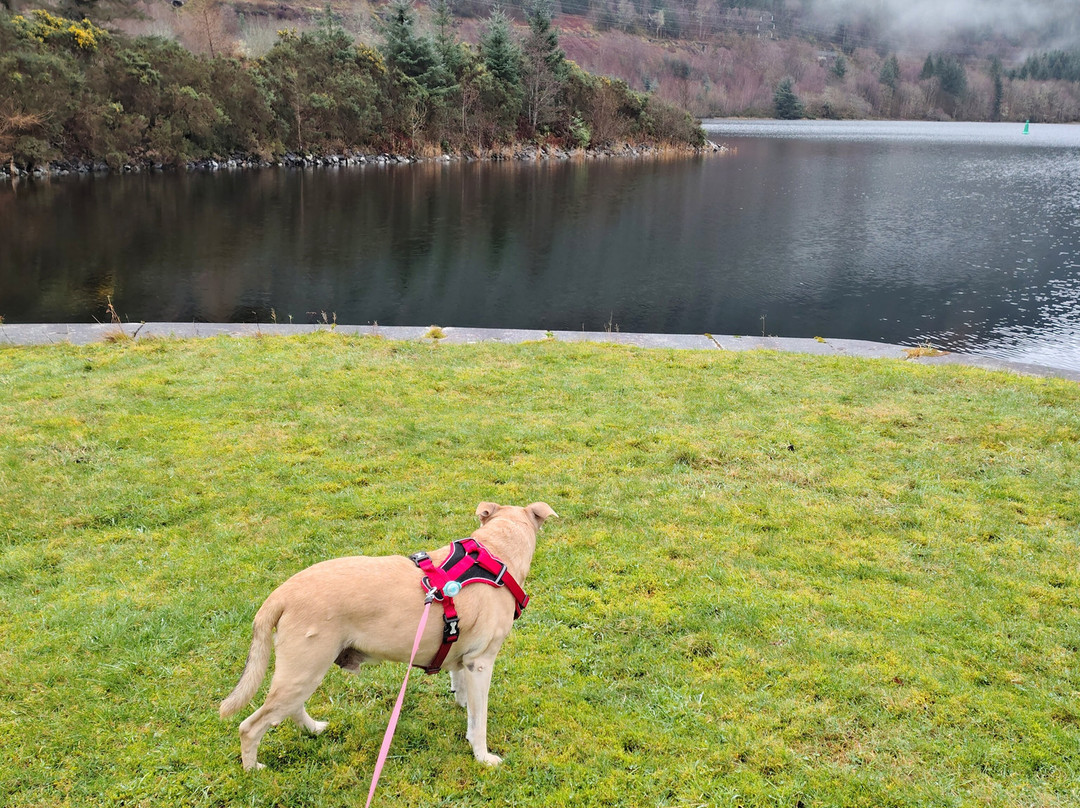Ivy Cottage-史宾桥必去景点