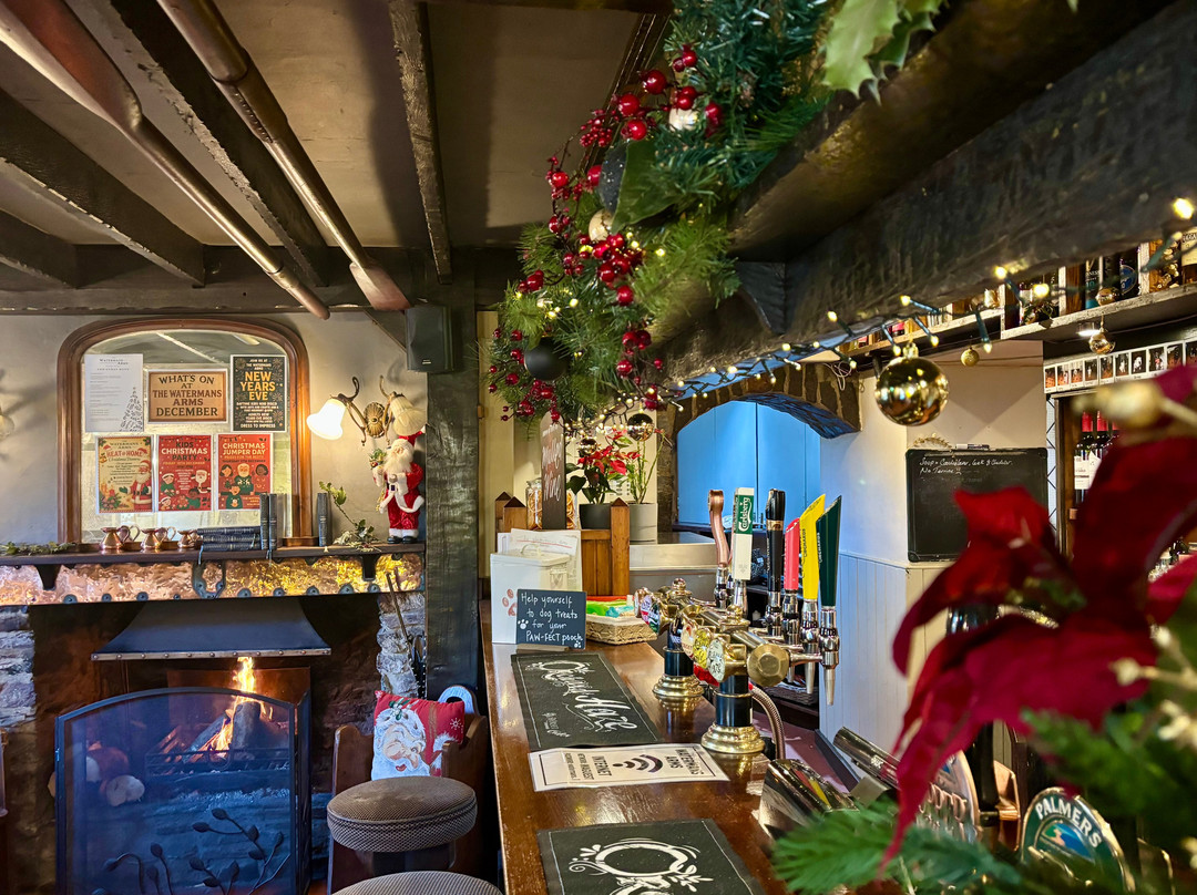 The Waterman's Arms-托特尼斯必去景点