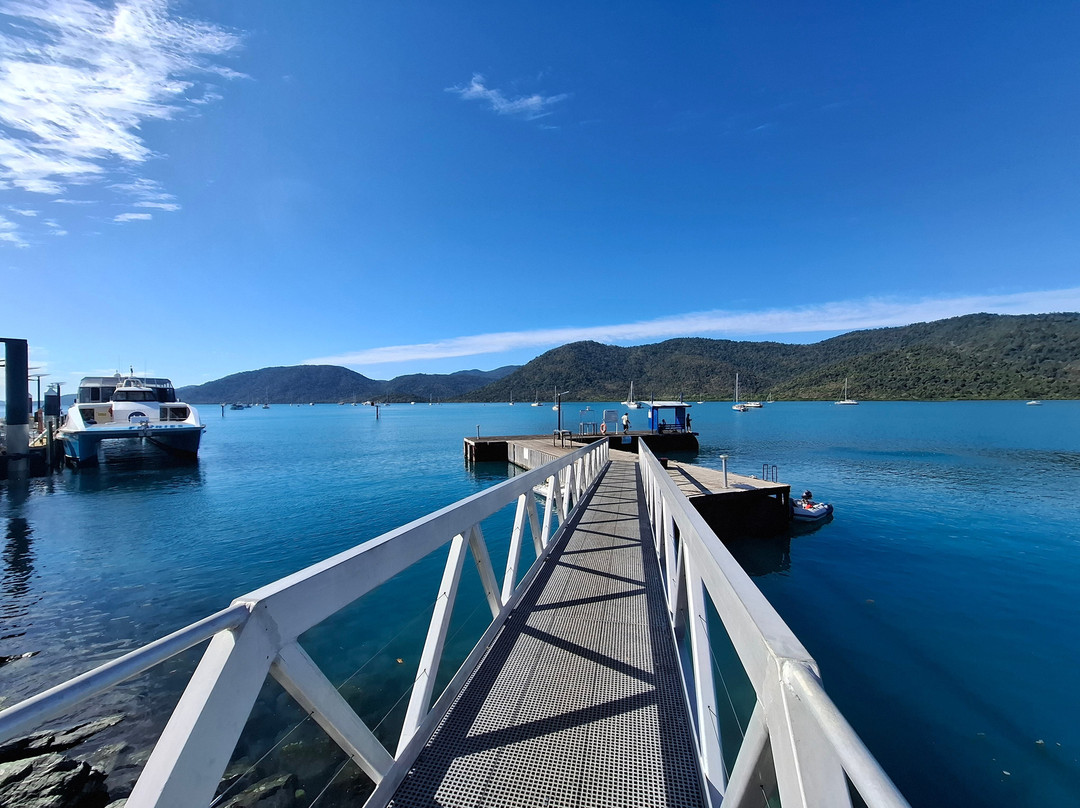 Salty Dog Sea Kayaking - Day Tours-舒特港必去景点