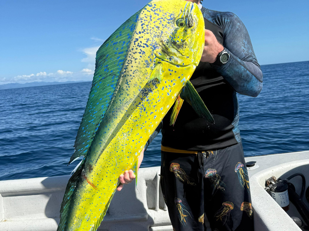 Spearbaby-Santa Catalina必去景点