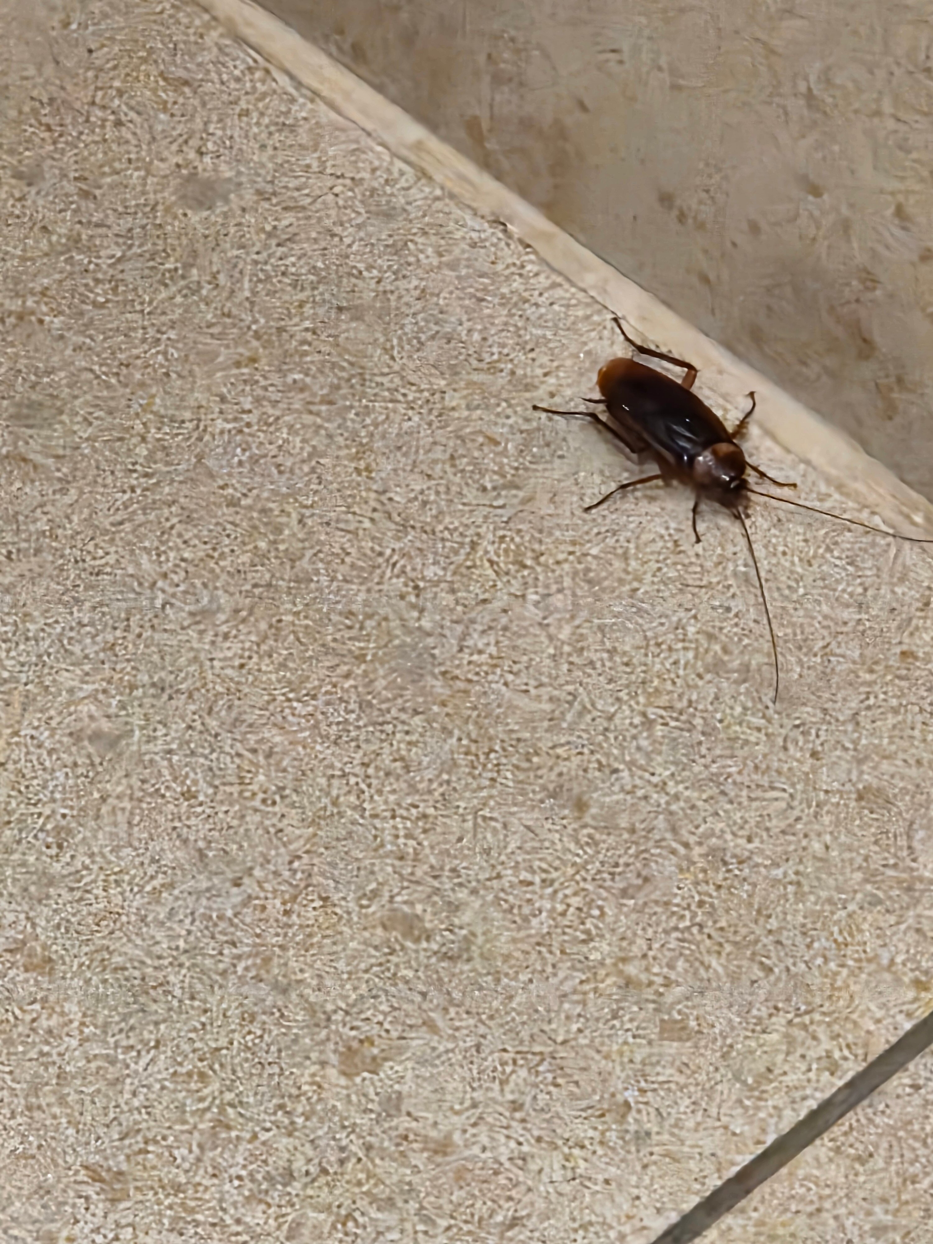 海洋世界度假村-官方