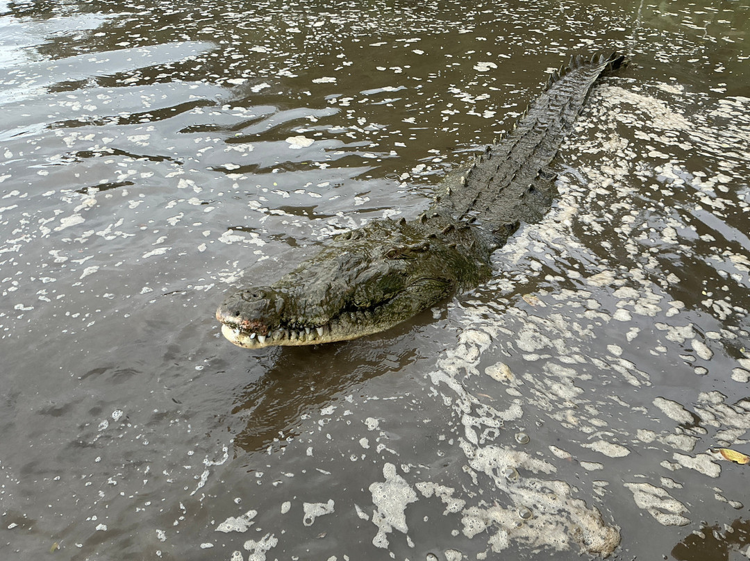 Los Sueños Travel-艾拉杜拉必去景点