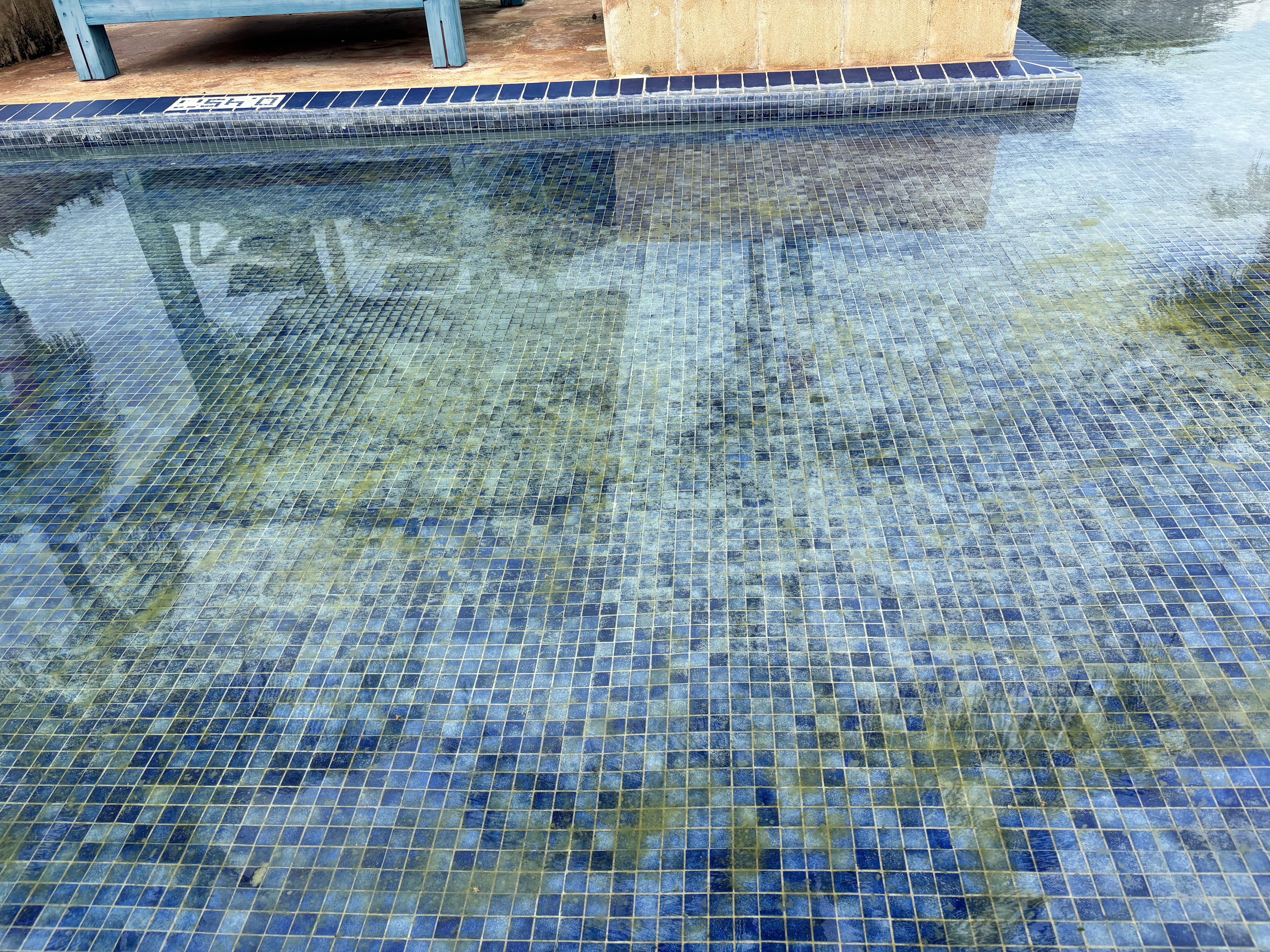 Valentin Perla Blanca-泳池