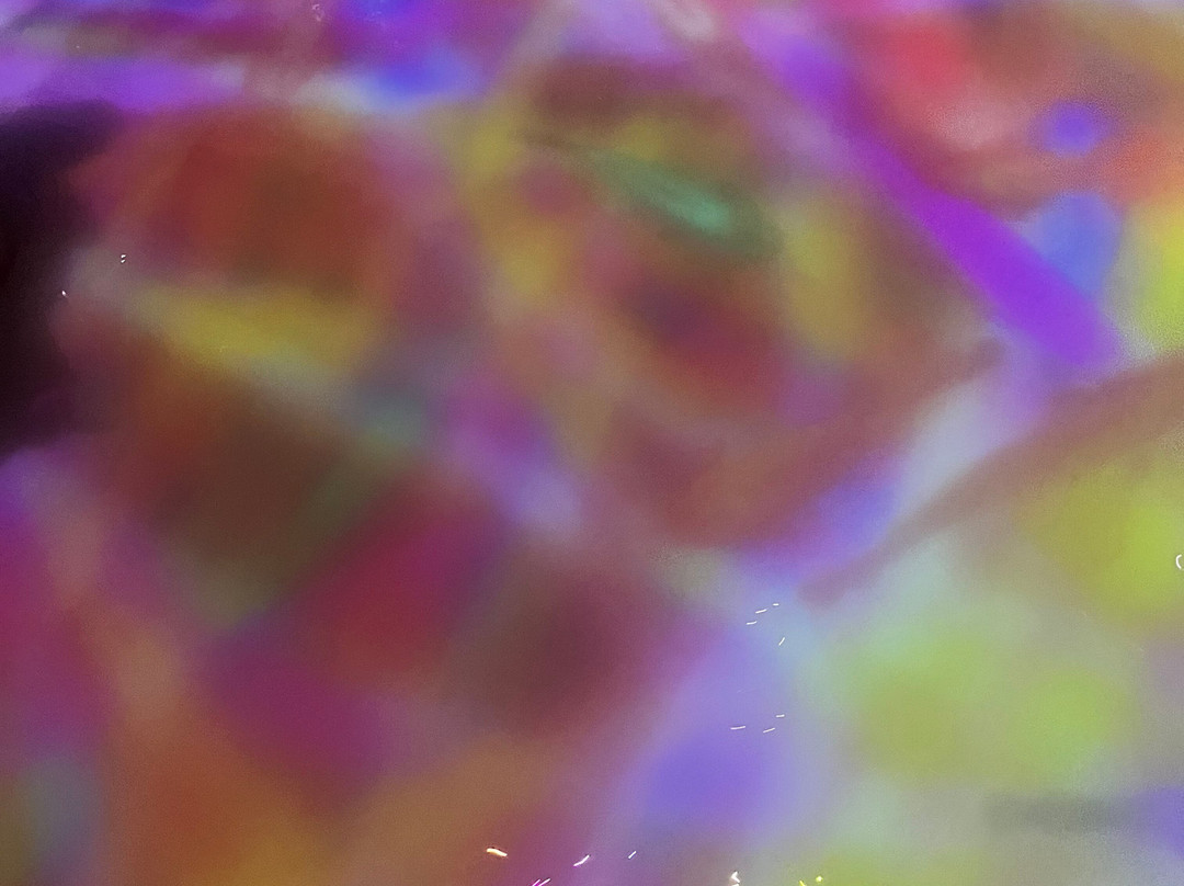 teamLab Planets TOKYO-Toyosu必去景点