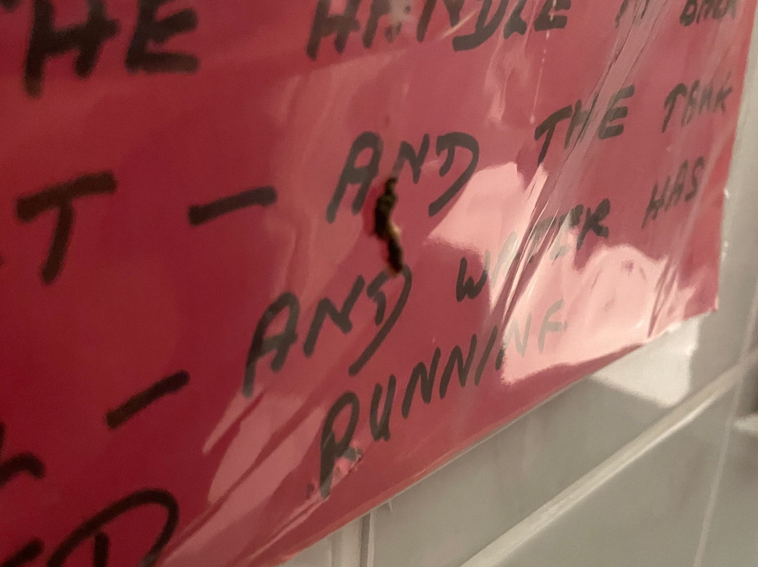 Hummingbird House主图