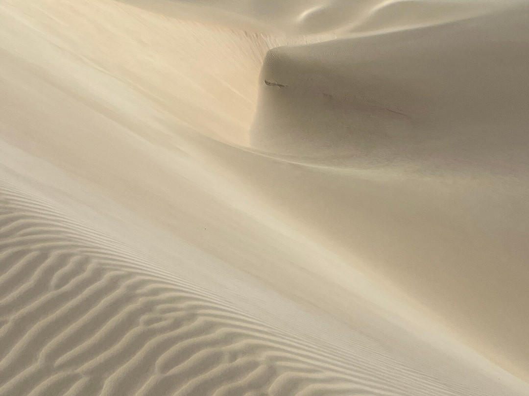 SolaCyberTours-萨尔雷必去景点