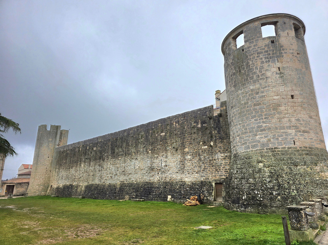Morosini Grimani Castle-Svetvincenat必去景点