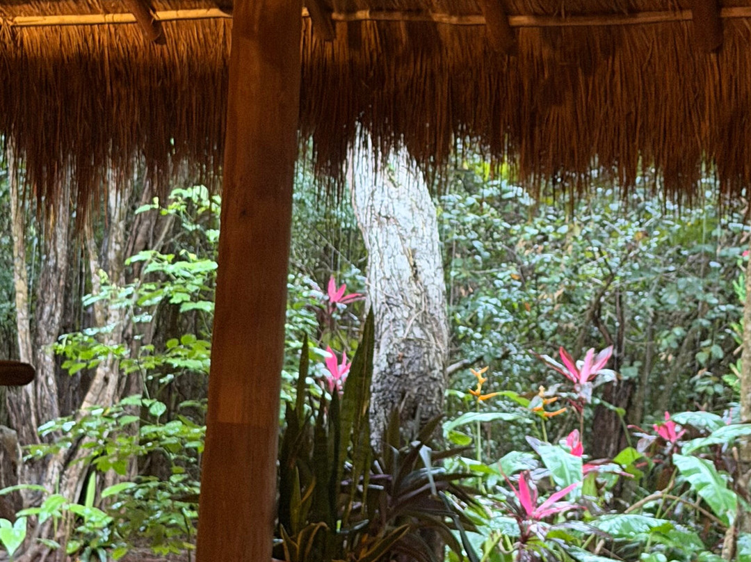 Tsukán Santuario de Vida-Piste必去景点