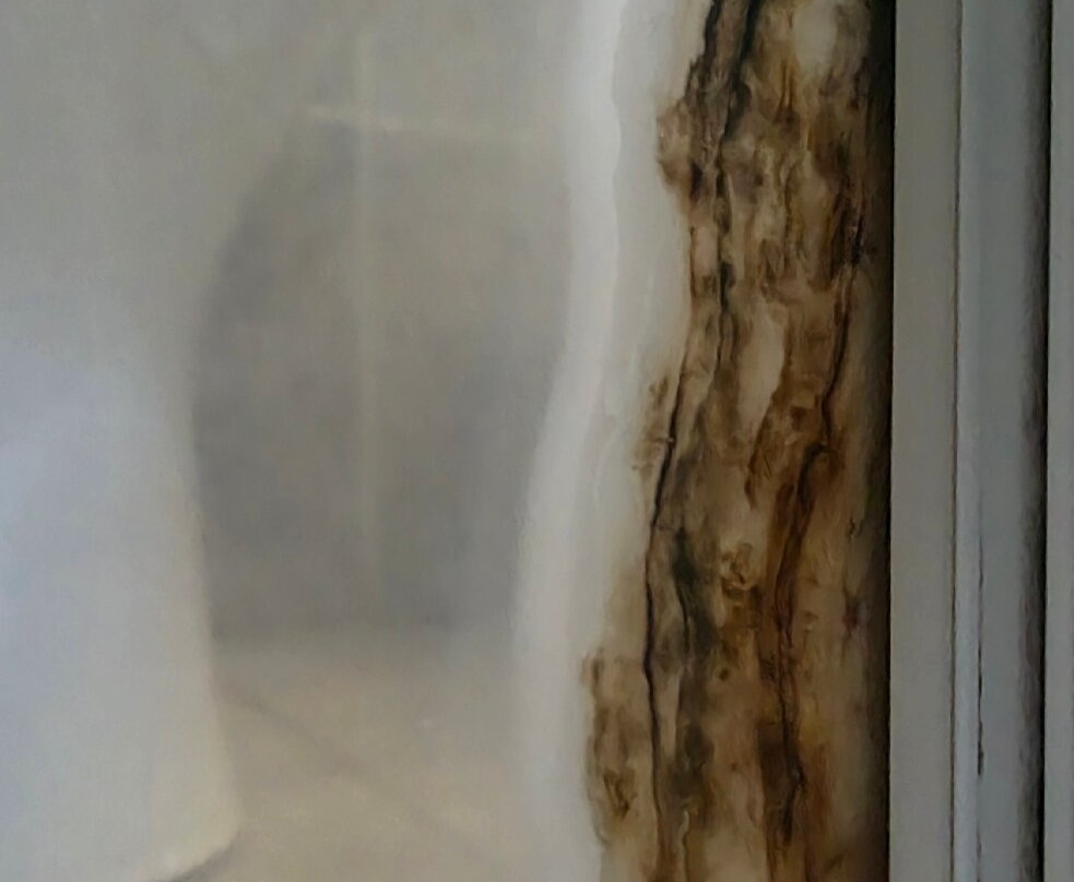 Willows Motel Goulburn主图