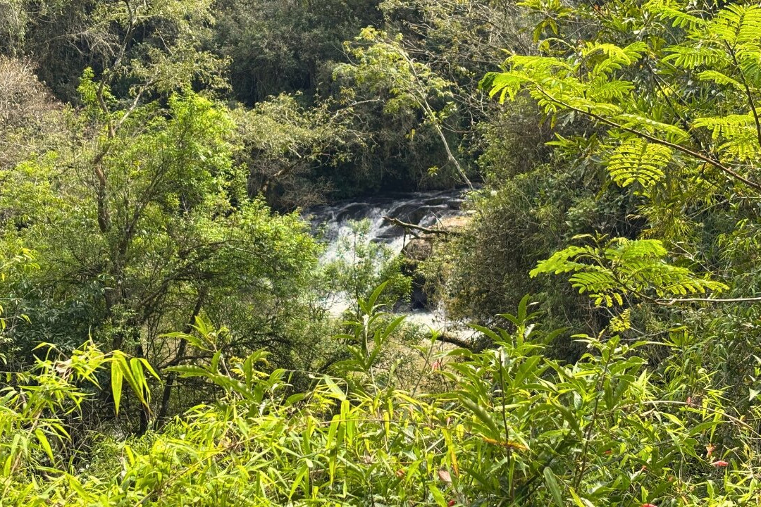 Cascata Herval do bairro São Miguel-Dois Irmaos必去景点