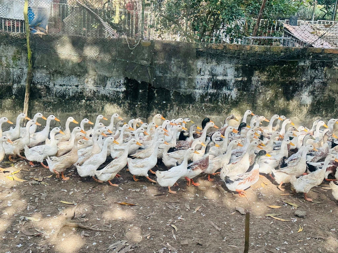 Dong Du Village Lakeside Farm Stay-Nghia Thuan必去景点