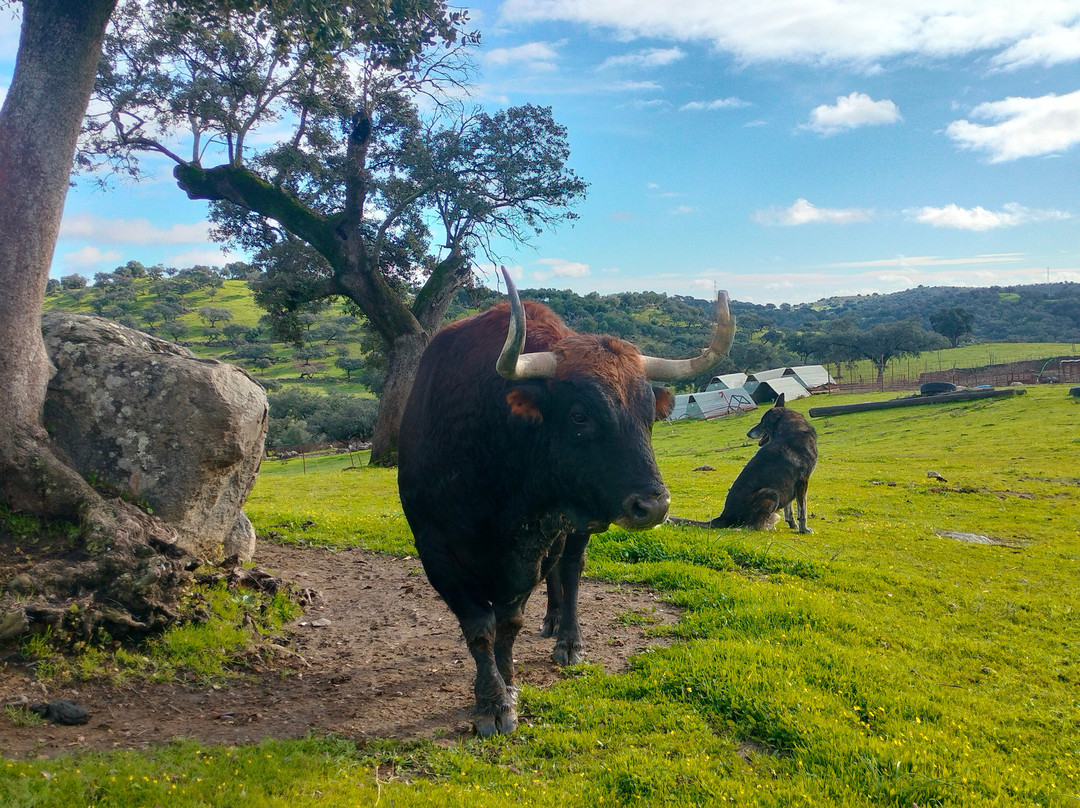 Ganadería Virgen María-吉列纳必去景点