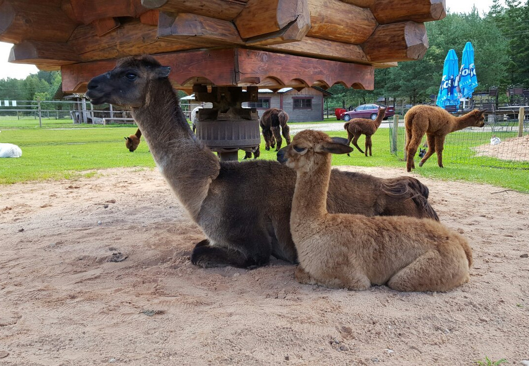 Recreation Complex Raksi-Amatas Novads必去景点