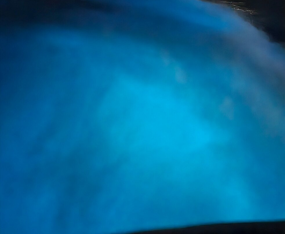 Glistening Waters Luminous Lagoon Tour-法尔茅斯必去景点