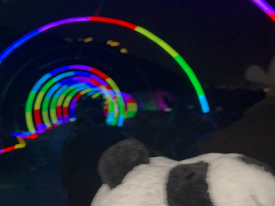 Rocky Mountain Outfitters-Midway必去景点