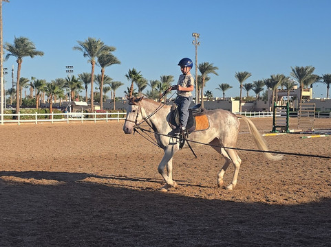 Edelweiss Equestrian Center-沙姆沙伊赫必去景点
