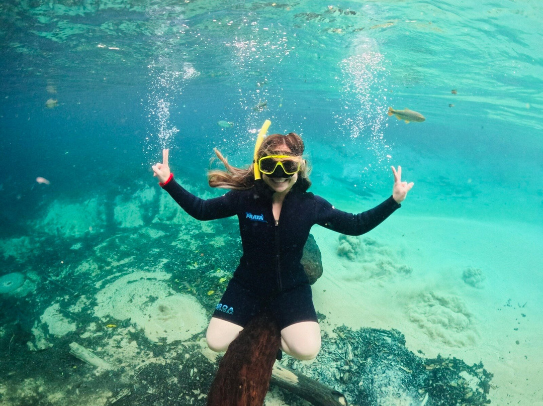 Rio da Prata-南马托格罗索州必去景点