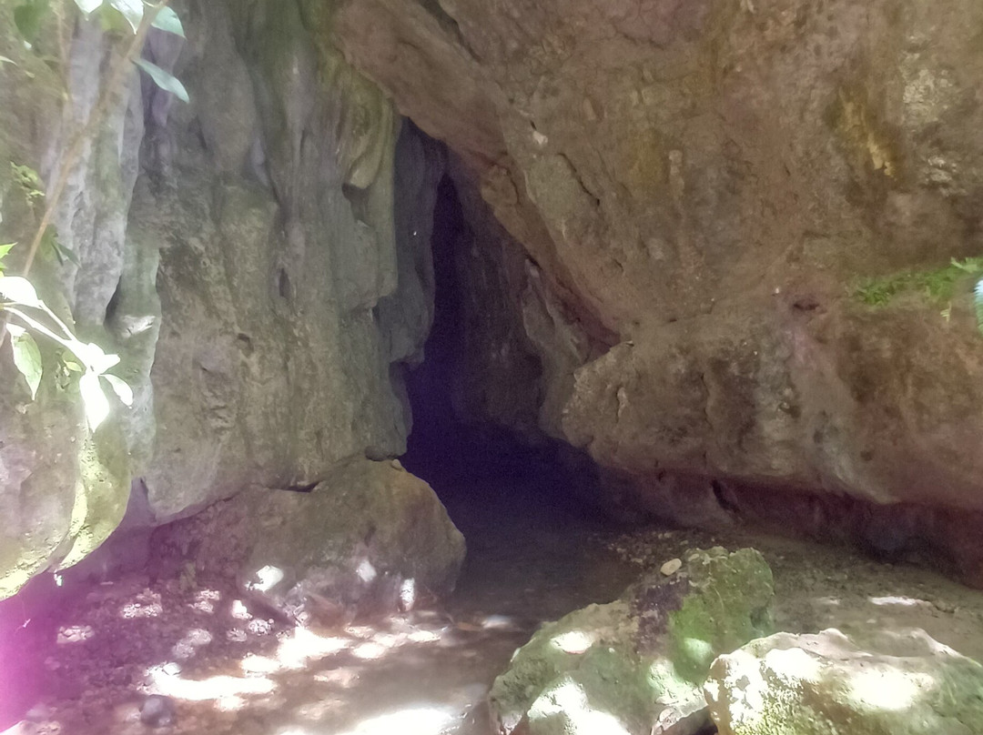 Cavernas del Venado-阿拉辉拉必去景点