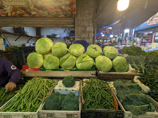 Free Walking Tours Amman-安曼必去景点