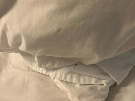 Residence Inn by Marriott Williamsburg主图