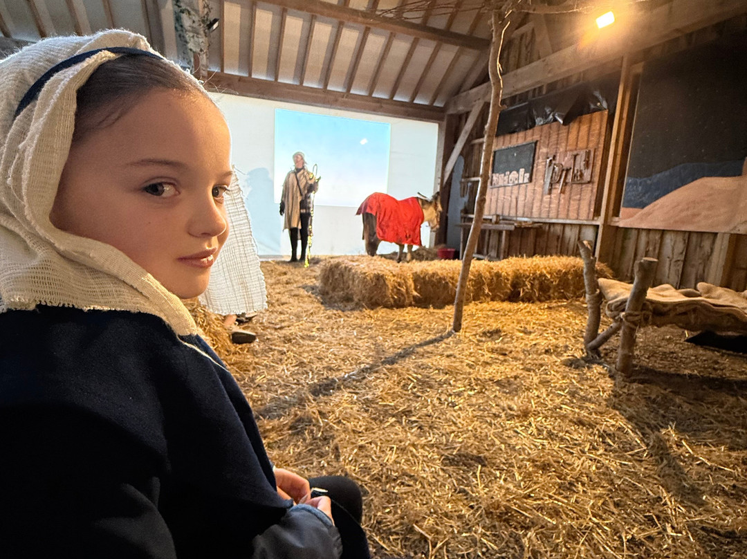 Pennywell Farm-Buckfastleigh必去景点