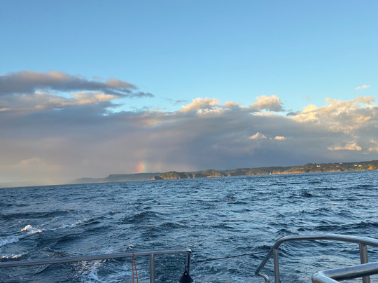 Scubacaribe, Costa Rica-Playa Matapalo必去景点