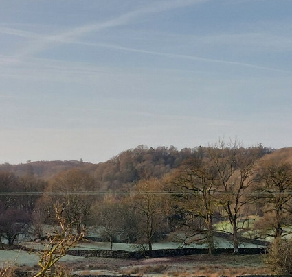 The Brown Horse Inn主图