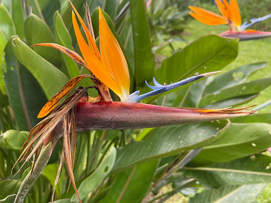 Academia Tica-圣何塞必去景点