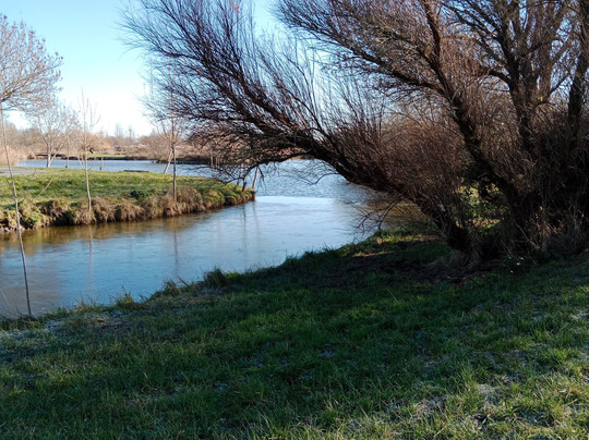 Port Du Ribérou-Saujon必去景点