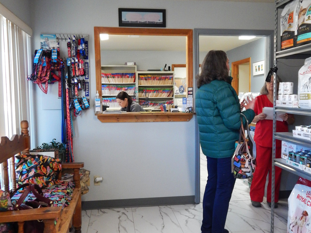 Angel Fire Small Animal Hospital-天使之火必去景点