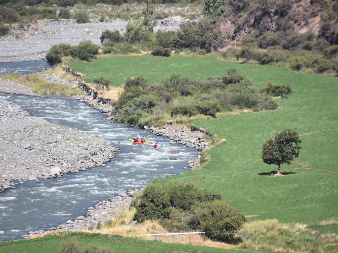 Chilean Adventures-Curico必去景点