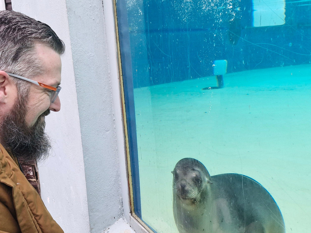 Welsh Mountain Zoo-科尔温湾必去景点