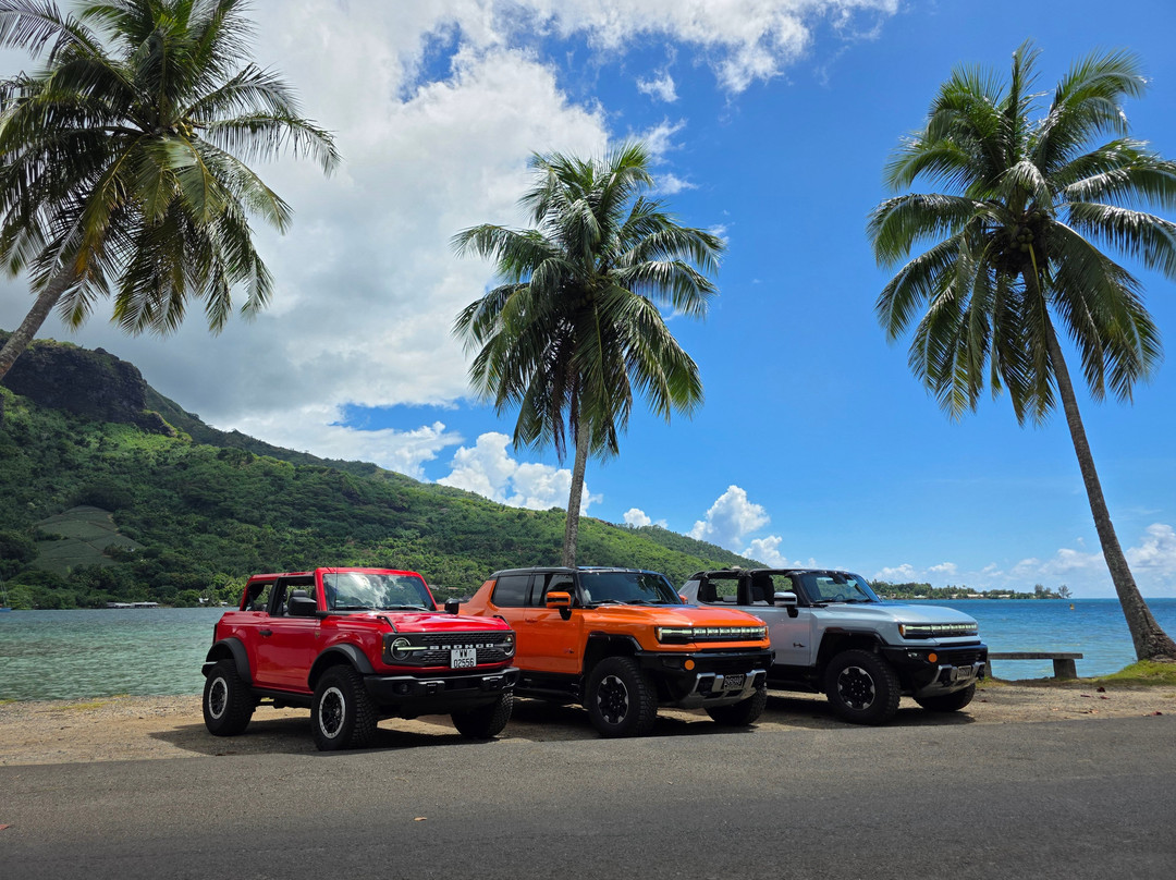 Only EV Rent-莫雷阿岛必去景点