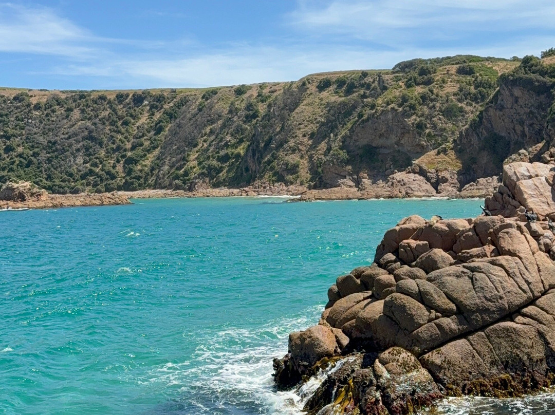 Wildlife Coast Cruises-考斯必去景点