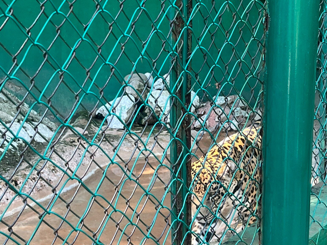 拉文塔博物馆公园-Villahermosa必去景点