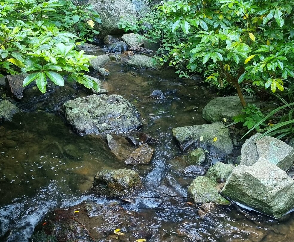 Washpen Falls-Darfield必去景点