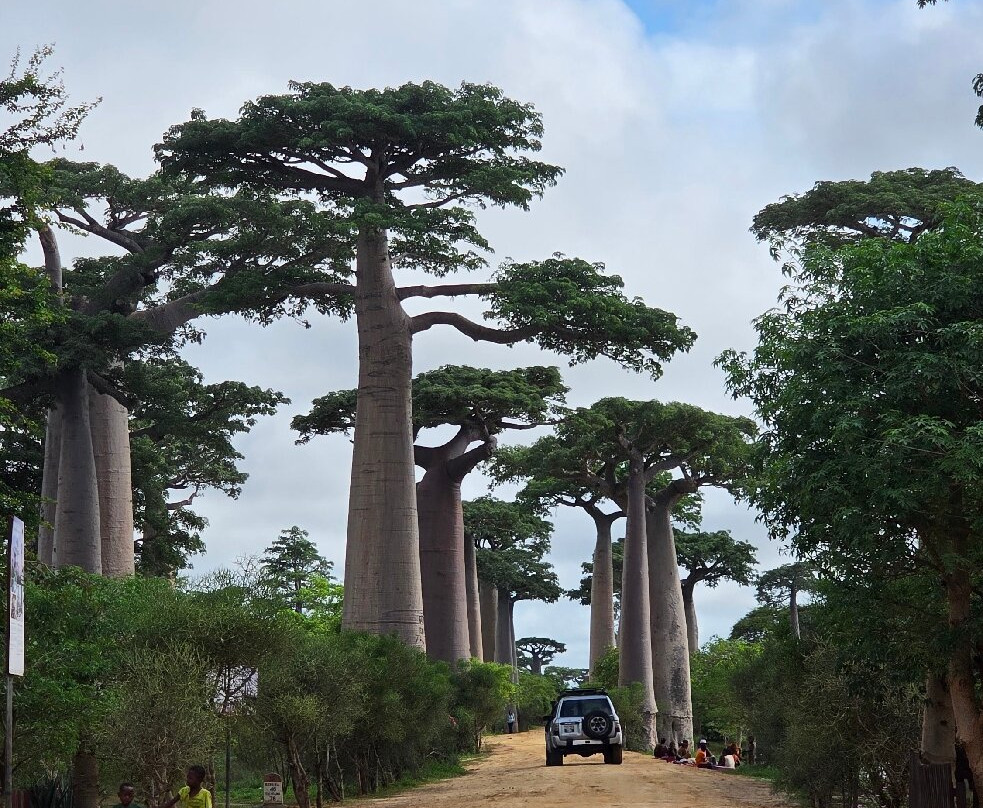 Soul of Madagascar Tours-Toamasina (Tamatave)必去景点
